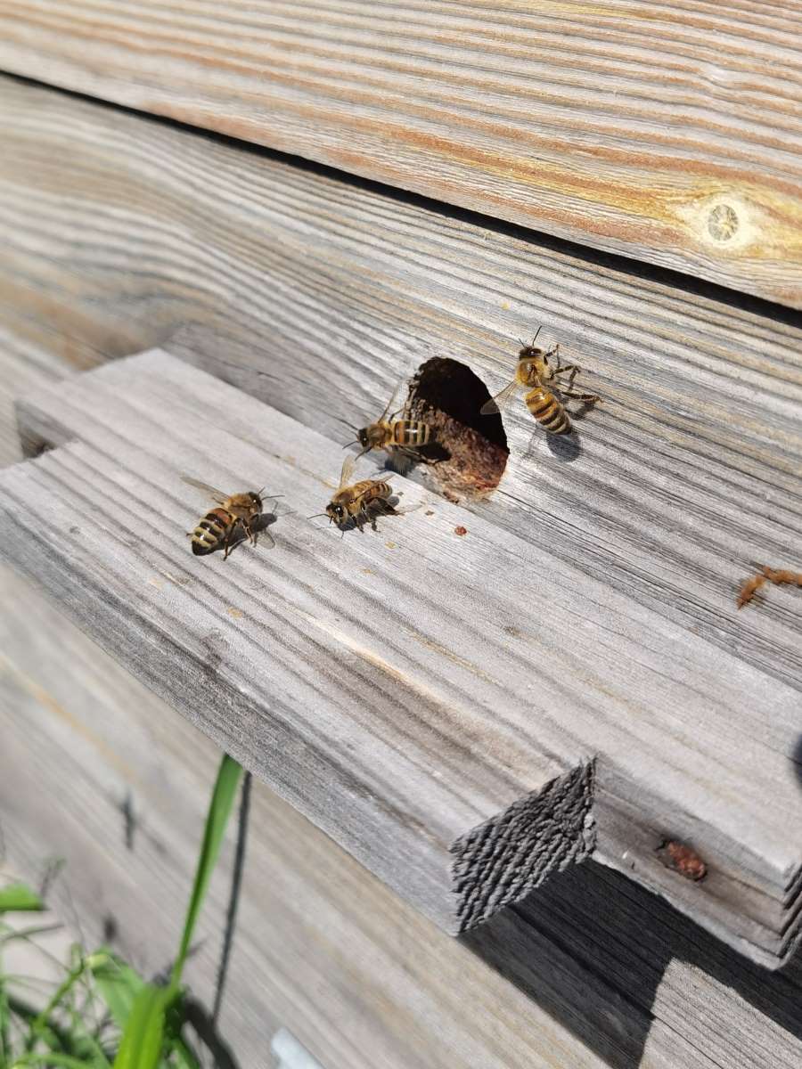 IMG 20250523 134806 3